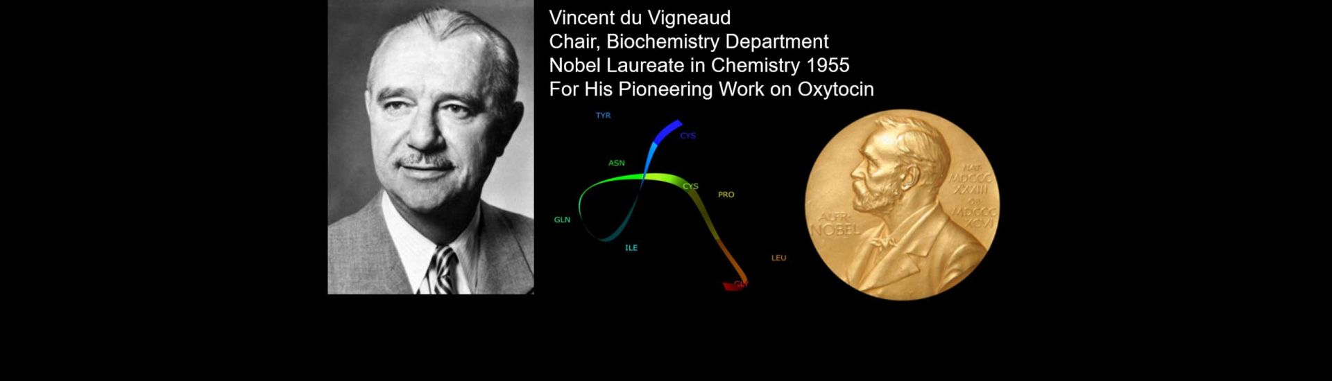"exploring research is the working of a winding trail into the unknown" Vincent du Vigneaud, Nobel Laureate in Chemistry 1995 for his pioneering work on oxytocin, chair of the gw biochemistry dept.